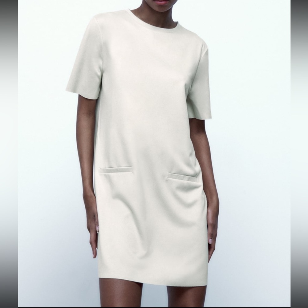 Zara faux suede dress